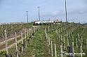 VBS_3277 - Mango (Cuneo) - Gnomovia